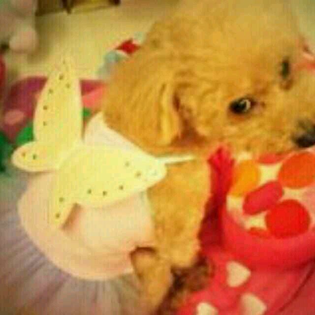 warm_so's profile picture. 妳 是三个半年里第四个夏天.-