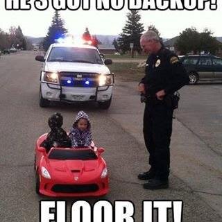 vettezr1m's profile picture. 