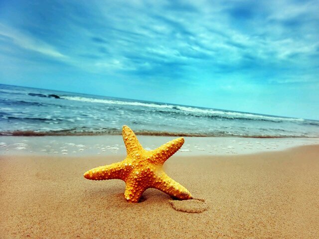 Live and Let Live....Always a believer of Faith, Hope and Love