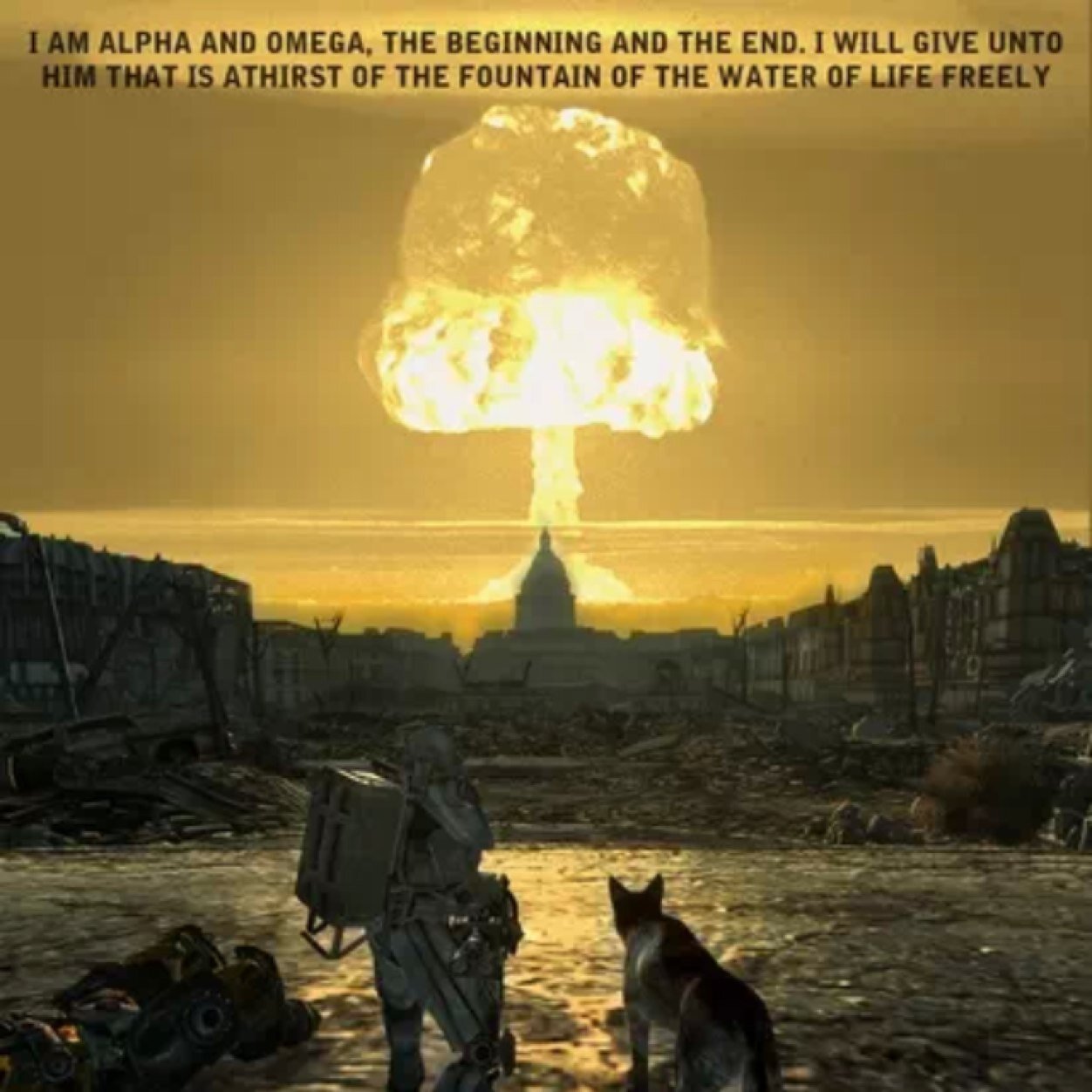 Welcome to the wasteland