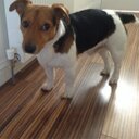 Eva  mulligan - @Evamulligan1 - Twitter