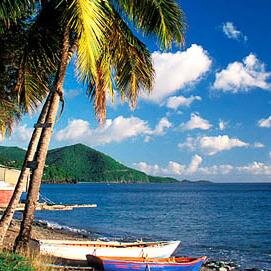 site  guadeloupe-colis.fr