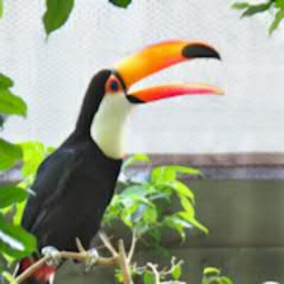 masya_tweet's profile image