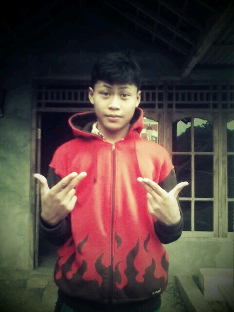 Xl-ips 1