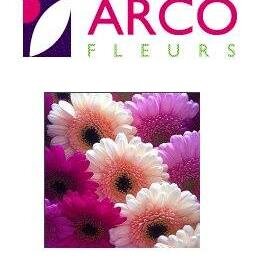 Arco Fleurs levert bloemen, planten en bloemisterij benodigheden.