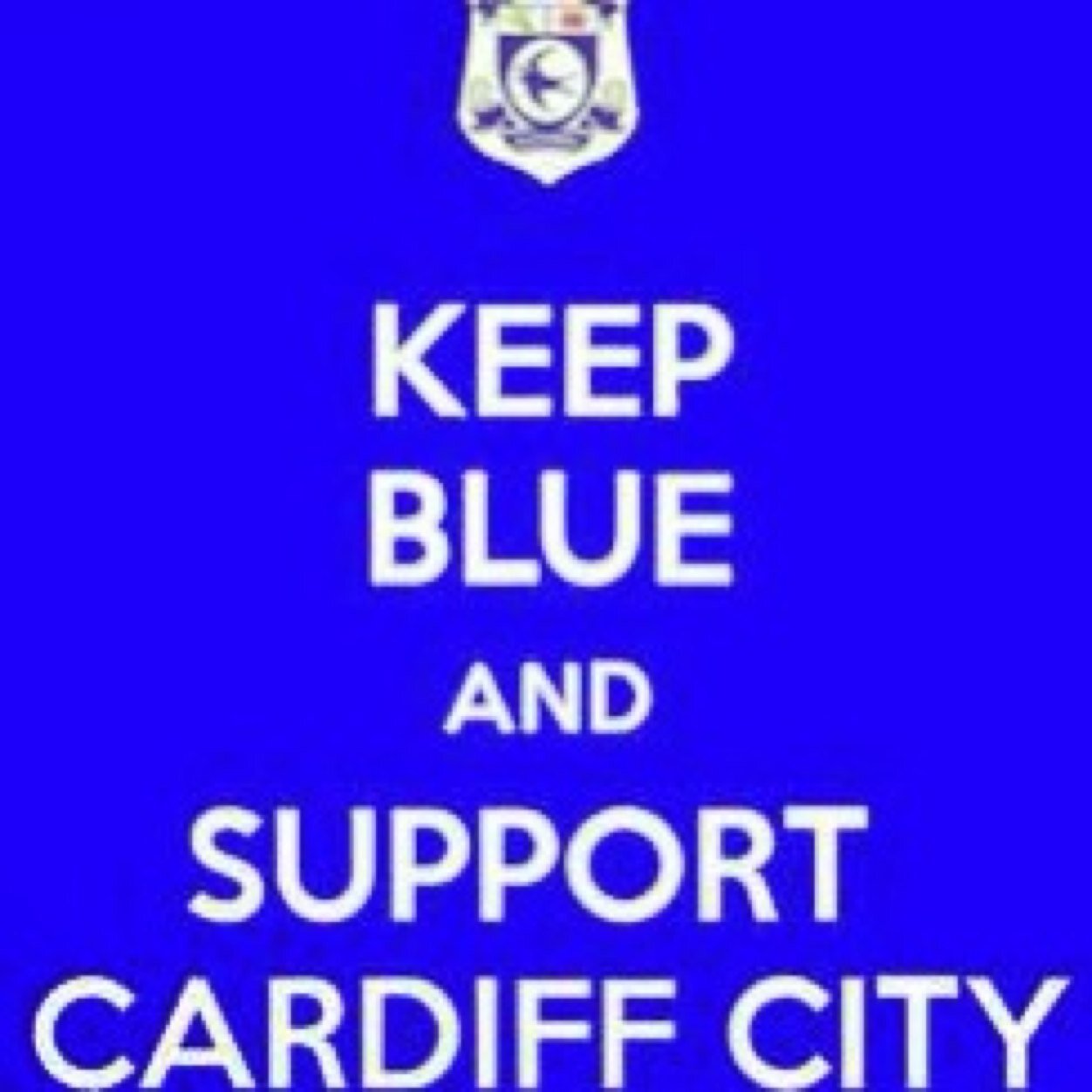 cameronccfc00's profile picture. Love Football #CardiffCity. Currently Playing For Cardiff City Under 11s CCN. Play as a striker. 60 70 goals a season