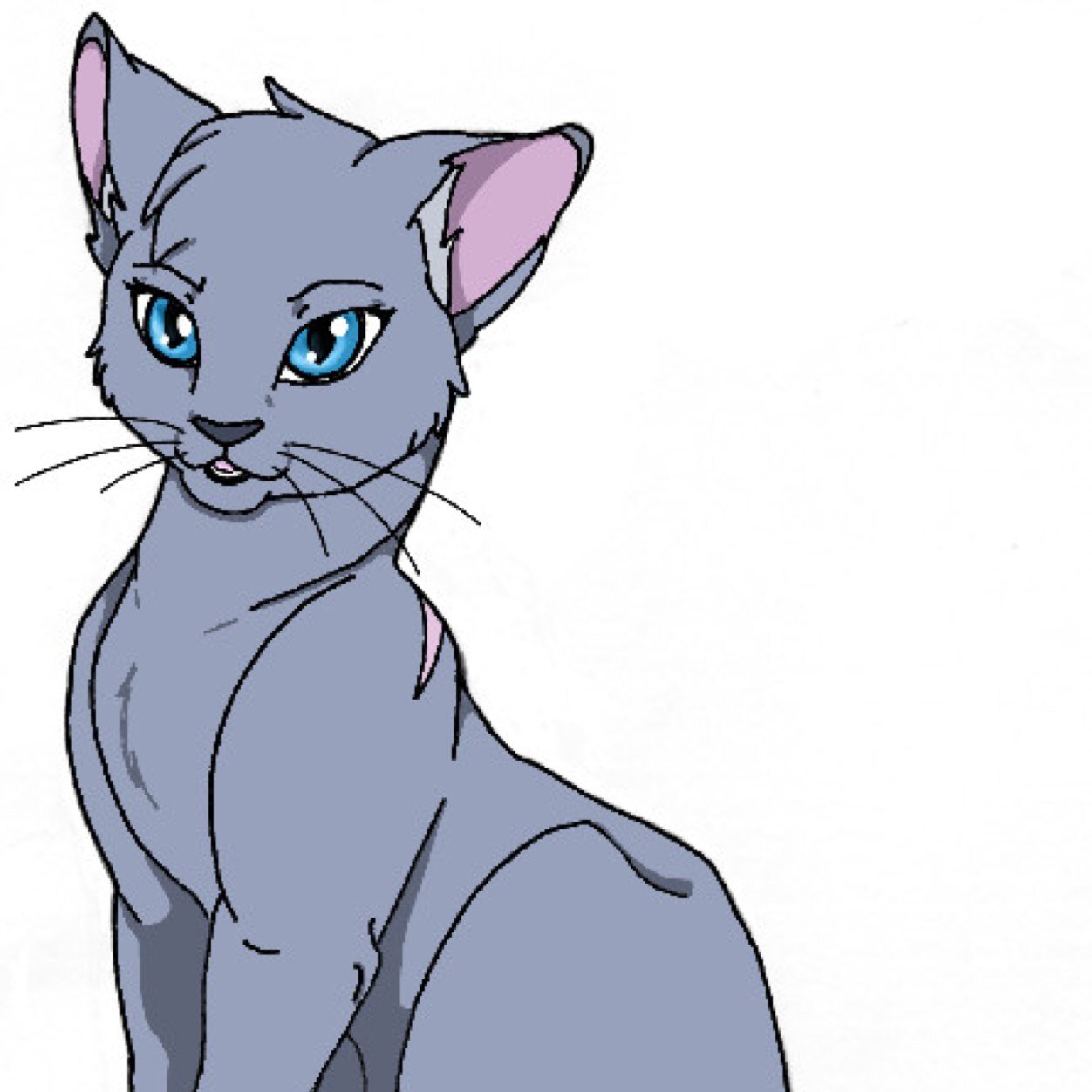 ~Small grey cat with blue eyes~ 30 moons. Warrior. Optimistic, brave, narcissistic, sarcastic.