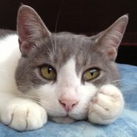 Rolf Thürheimer (@kazansavarona) Twitter profile photo