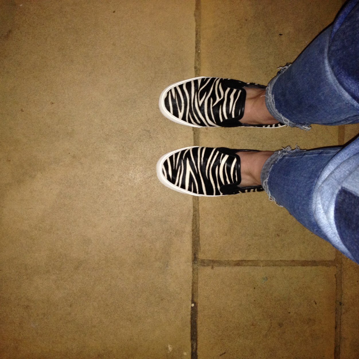 misslilllian's profile picture. 