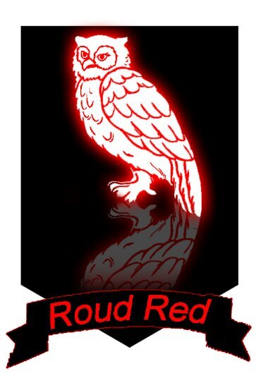 RoudRed_Gaming Profile Picture