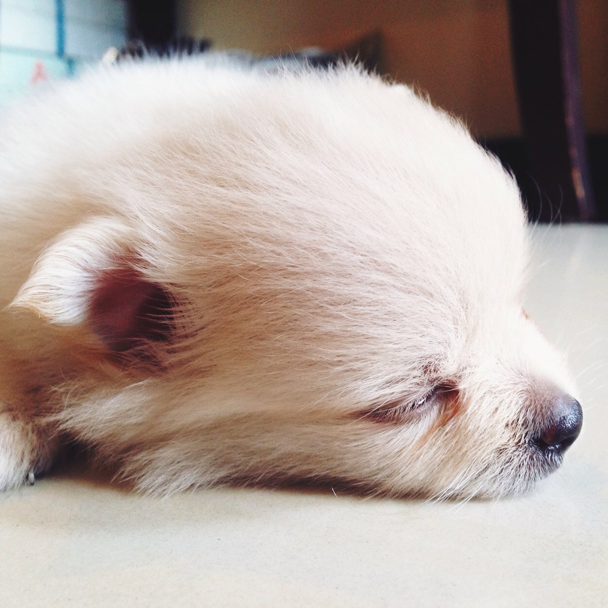 cindywjaya's profile picture. 25.03.2015