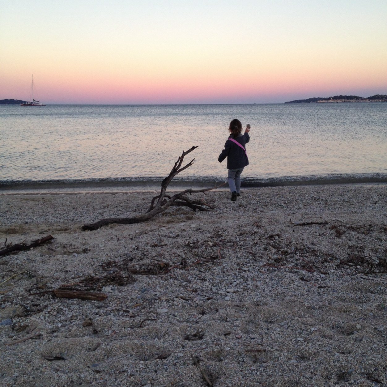 madame_louve's profile picture. 