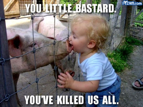 morganscool's profile picture. 