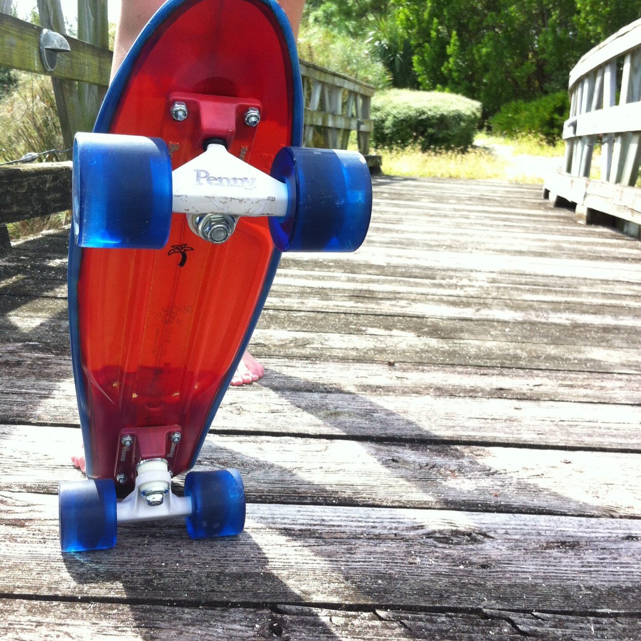 smartalec10001's profile picture. Beach