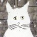 A_Sou (@aburaya_souhei) Twitter profile photo