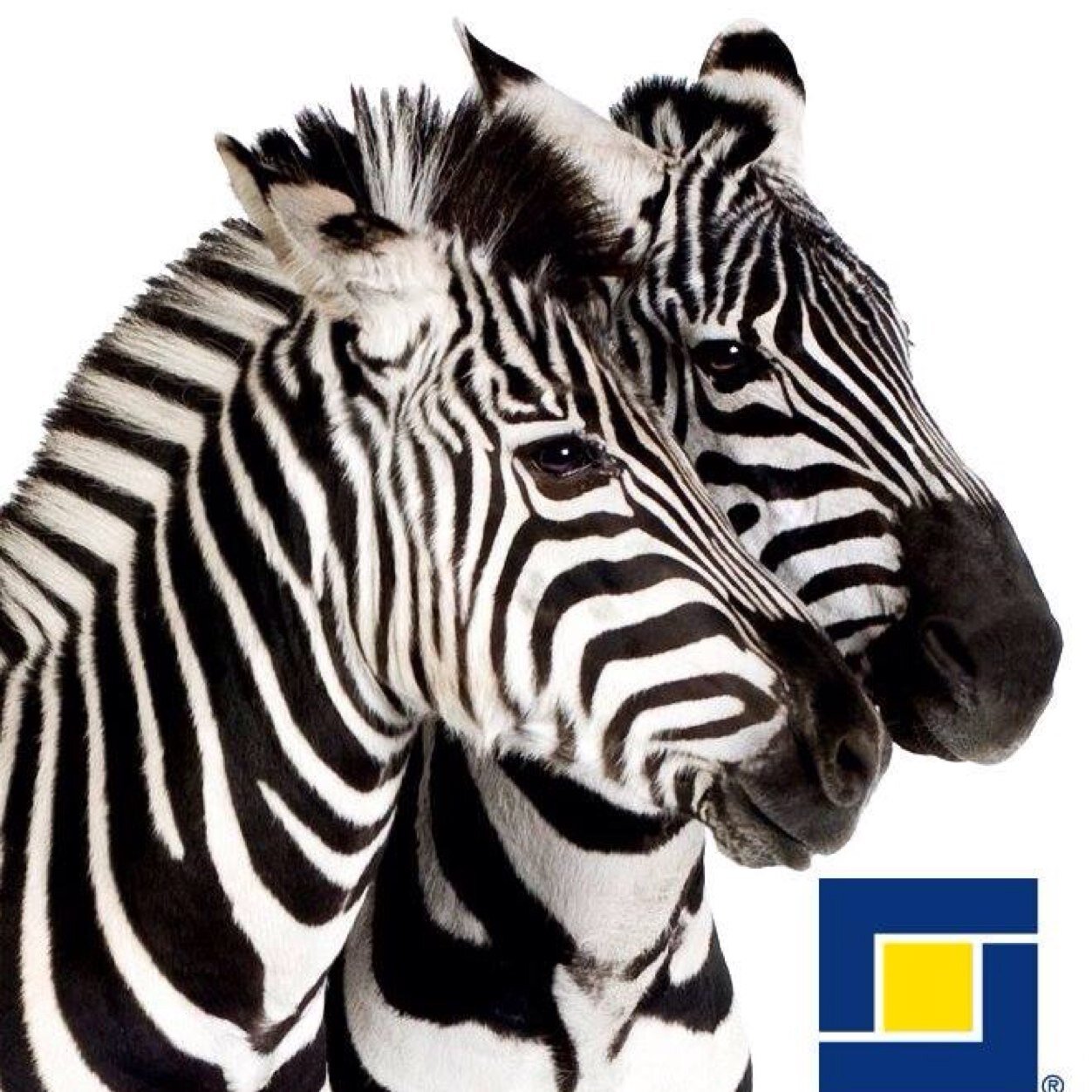 SharonLindleyNZ's profile picture. 