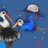 sapritalia's profile image