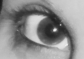 Silvagravia's profile picture. Nothing but me