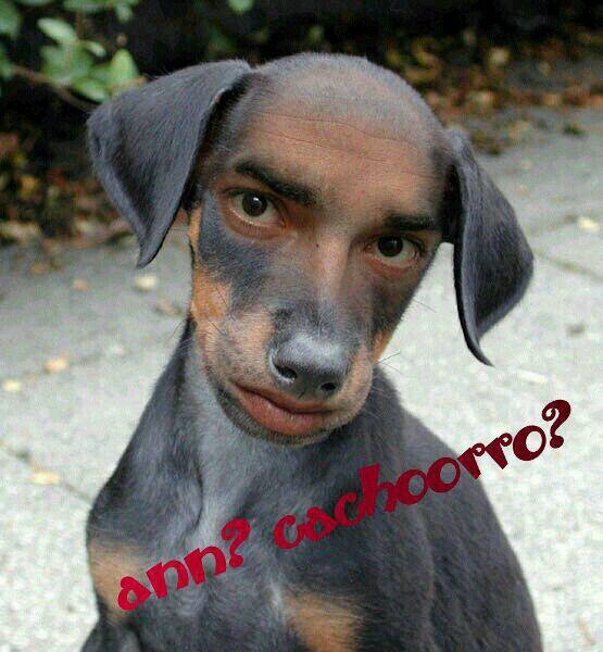 Sambaraiz5Silva's profile picture. 