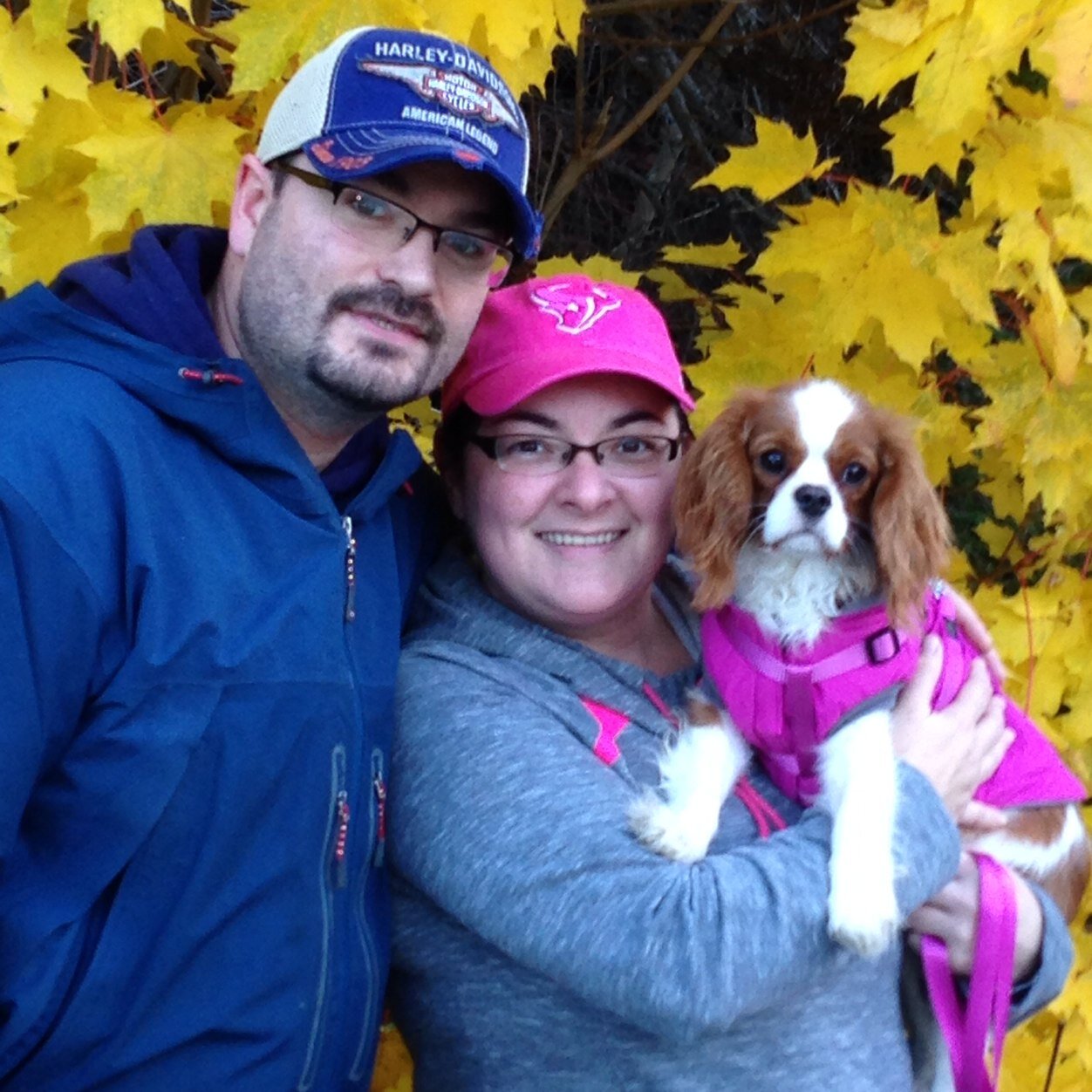 Oncology RN, Super Mom to 4 fabulous fur babies, animal rescue advocate