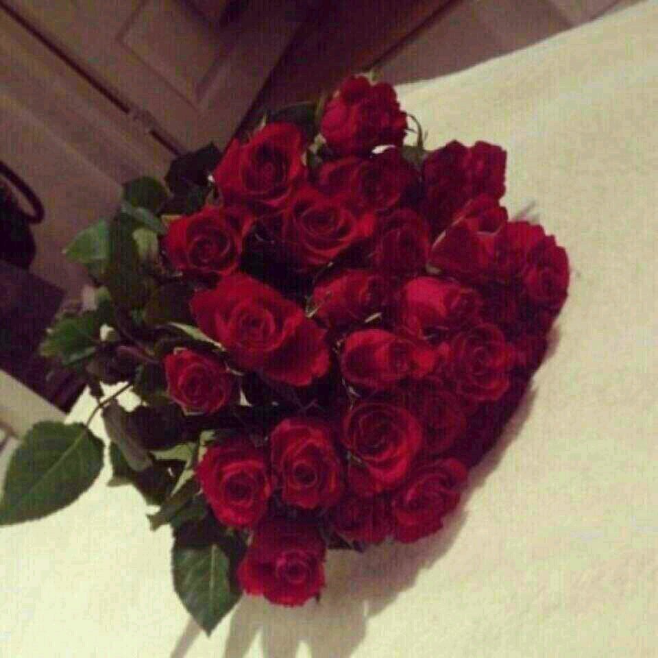 RereRer35034640 Profile Picture
