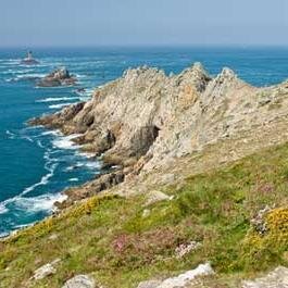 tatoo2972's profile picture. 