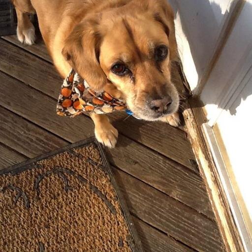 hopefulz33's profile picture. Love everything Outlander