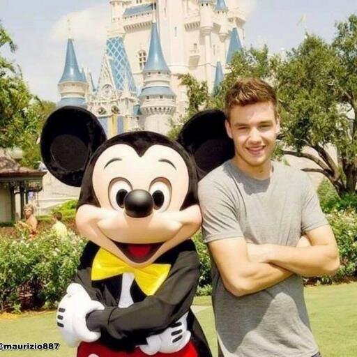 totabatot534's profile picture. Louis, Zayn , Liam , Niall , Harry (they are my life ) (Mrs Payne )