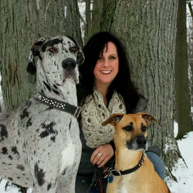 Great Dane lover, hairstylist, sign creator and Jeep enthusiast. Lover of the great outdoor. ✌