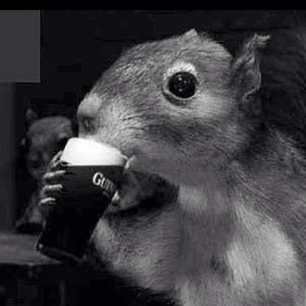 Irishrugger22's profile picture. 