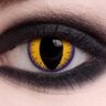 CatEye0611's profile picture. Caged Bird 🕊”living” quarantined @🏠 with ME for 22yrs / Creative soul, Analytical mind / 🌈 / #ME 💙
