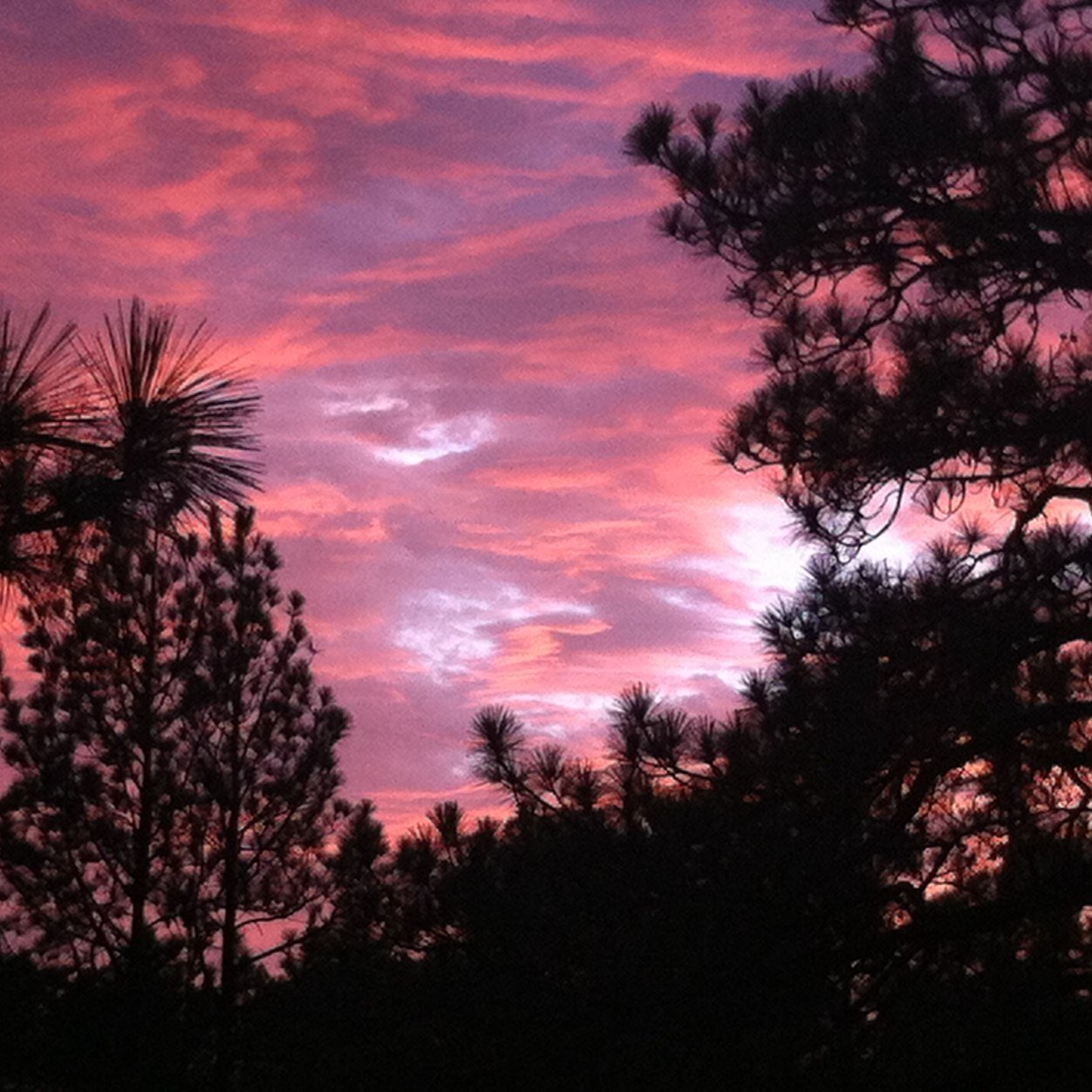 yeahdjj's profile picture. 