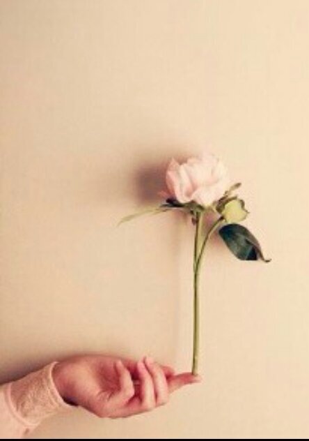 ‏يارب لك الحمد .♡♡