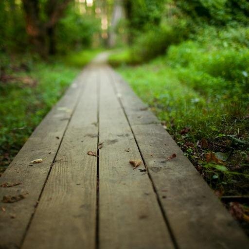 Julielove1D's profile picture. Je suis née le 1 mai 1987, je suis fan de Roswell, Revenge, One direction et de pleins d'autre choses...