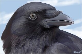 life_on_eairth Profile Picture