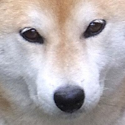 うめ吉 Shokoume Twitter