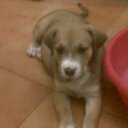 Alejandro Cañadas  - @Alejan3xd - Twitter