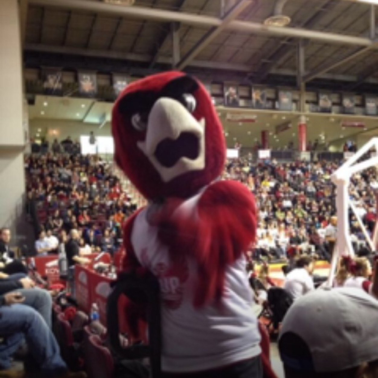 NormsIUPness's profile picture. Dis is ya boy, Norm, show me you IUPness! #IUP #TeamCrimsonHawks ASK ME SHIT: http://t.co/SmtBrigPvU snapchat: normsiupness