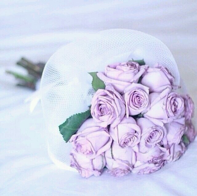 انا آسف ﻵنني أحببتك طويلا.دون أن أقول♡♡؟