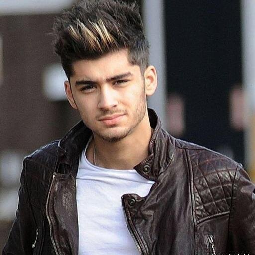 23.Me llamo Zayn.Me gustaria dedicarme a la musica.Odio enamorarme,pero ya lo e hecho mas de una vez.Soltero.Bromista y simpatico con quien se lo merece.