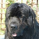 Simon Hancock - @hanks157 - Twitter