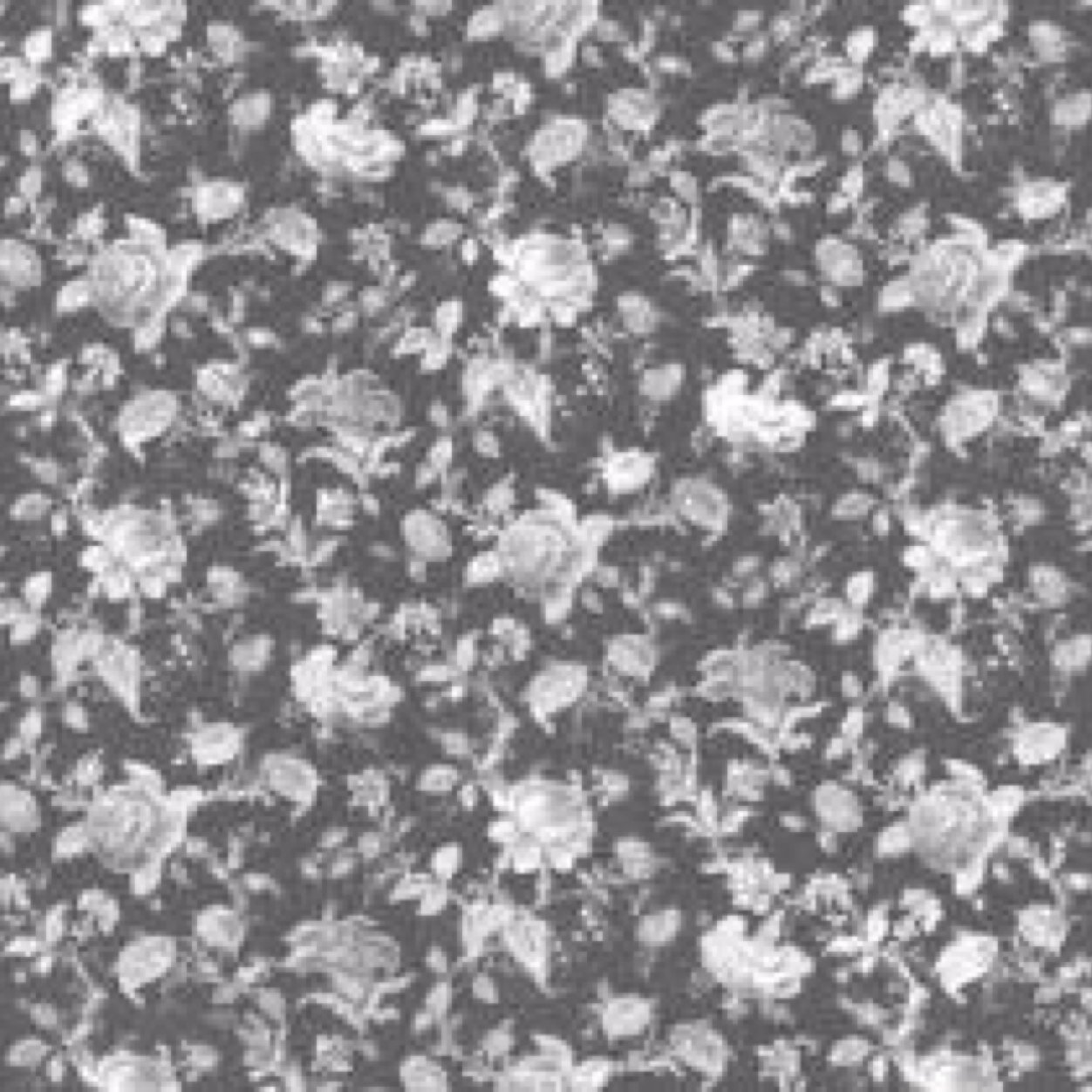 BrennaOswald's profile picture. 