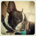 Alecia Van Der Merwe (@avdmvan) Twitter profile photo