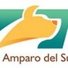 AMPAROSUR's profile picture. EL AMPARO DEL SUR es un grupo de personas cuyo objetivo es cuidar a los perros maltratados, abandonados e invisibles. Nuestro objetivo es encontrarles hogar