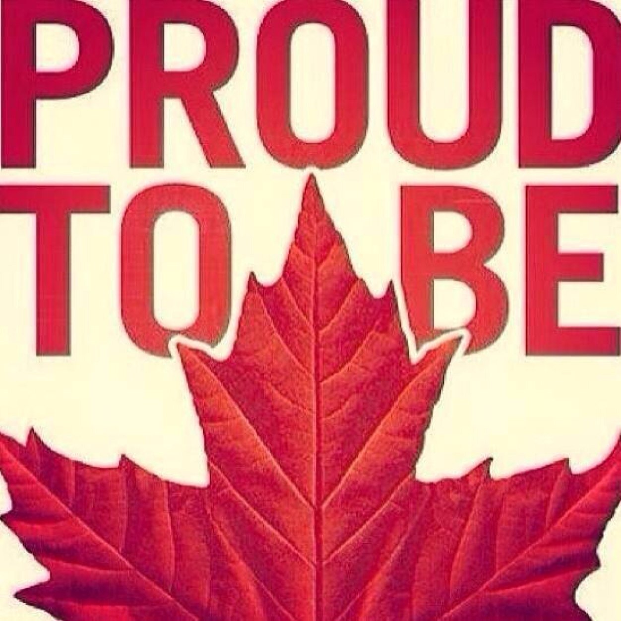 MrsCanadian's profile picture. In this life we cannot always do great things. But we can do small things with great love. -Mother Teresa ❤️