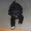 JoAnne Whitley - @JoWhitley12 - Twitter