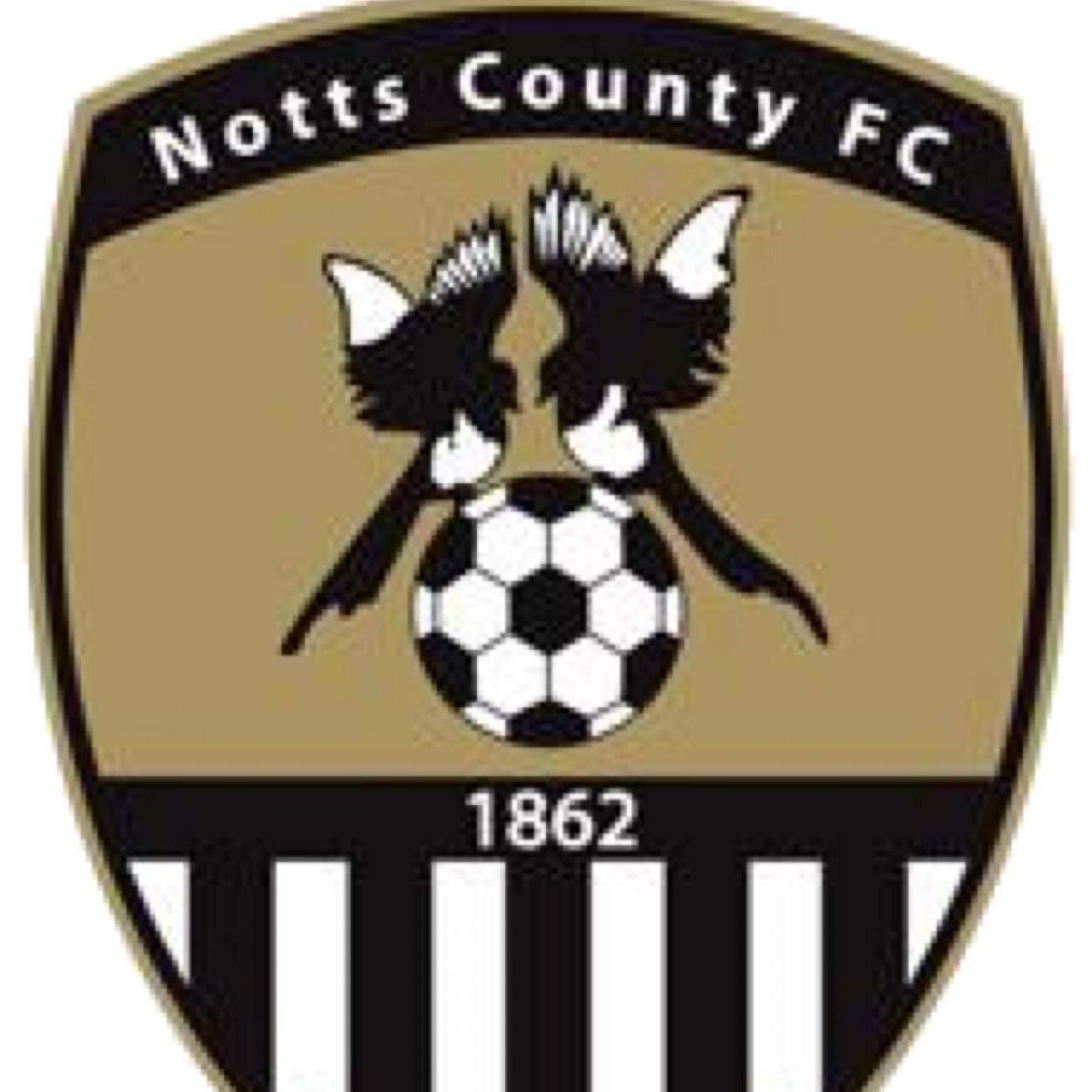 Notts County Fans