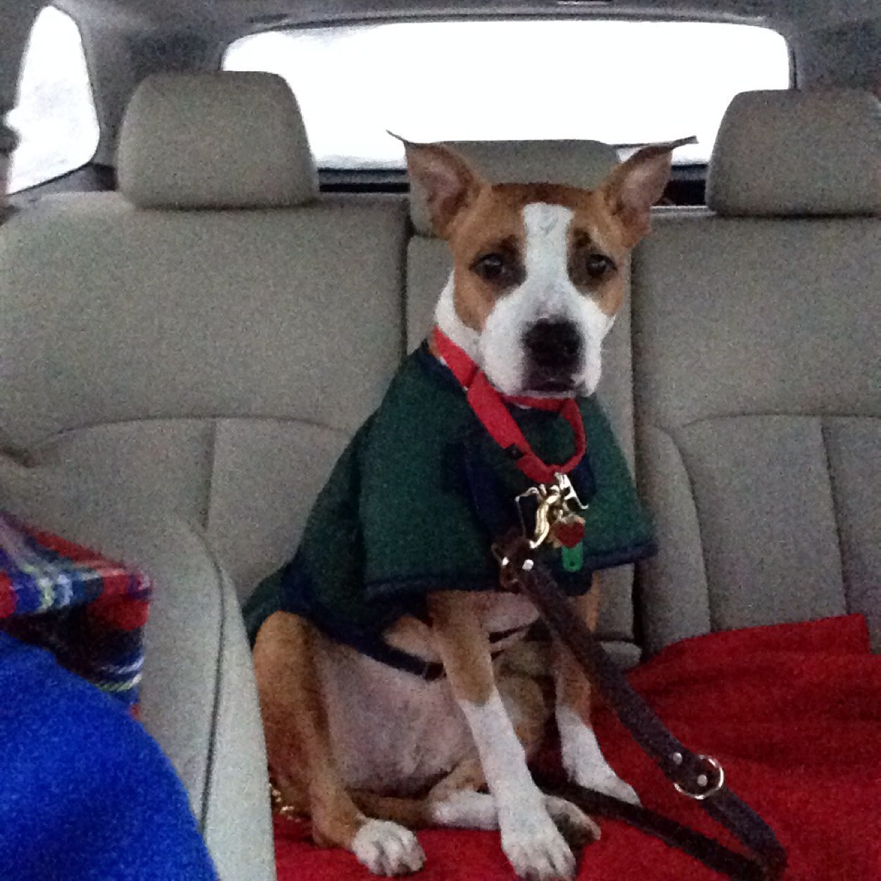 unsung_heroes's profile picture. We are never to old to learn something new.