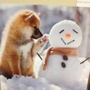 lynn olson - @lynnols03180035 - Twitter