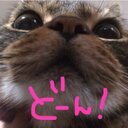 ぽにょ2(・ω・) (@0030609) Twitter